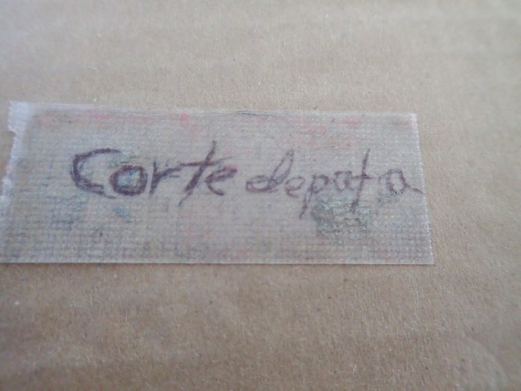 OLYMPUS DIGITAL CAMERA