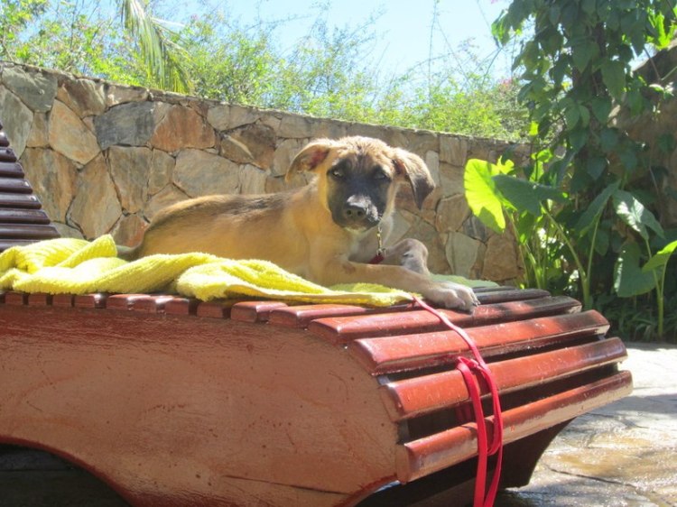 529583_10151337457598533_1562466932_n