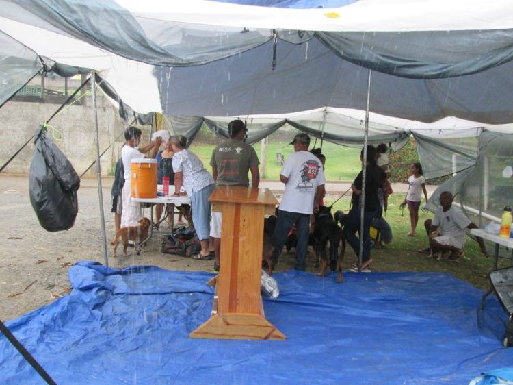 11222453_10207075164854623_2771116972534452687_o