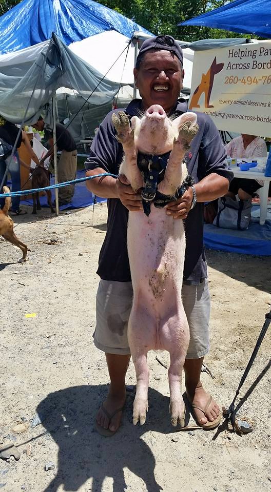 11233340_988143631205936_5283819014071180495_n