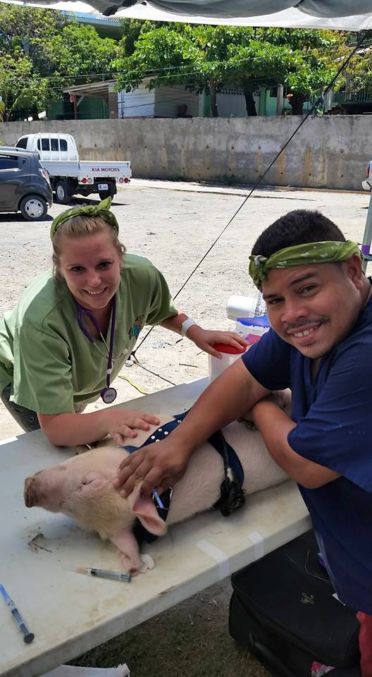 11253926_988143484539284_8547535642788302738_n