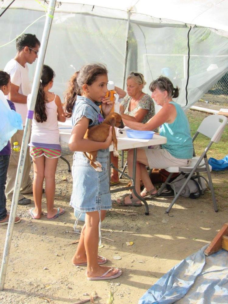 11794197_10207075160974526_4429327212827949140_o