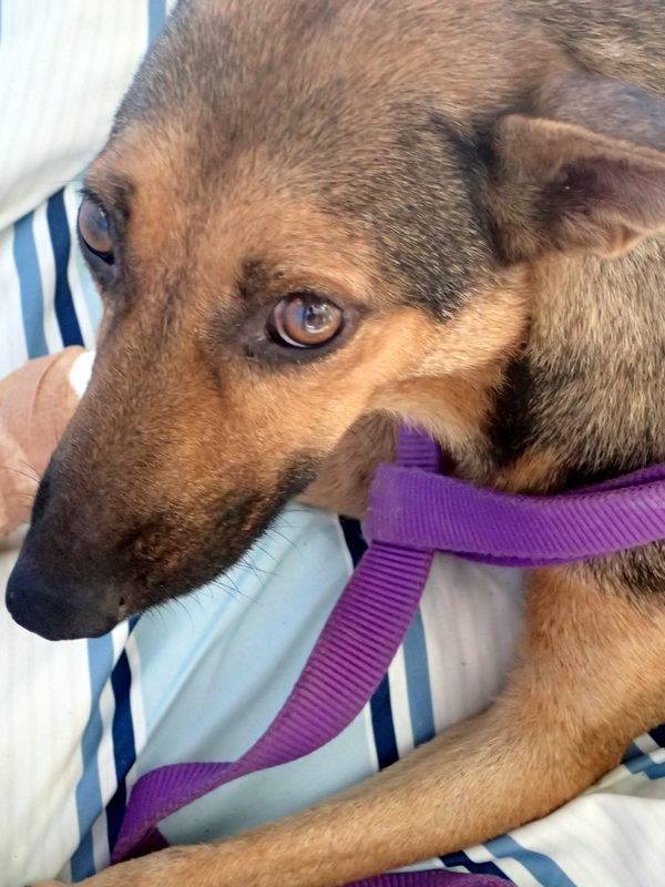 11046741_10152864455658533_4661913135645660683_n