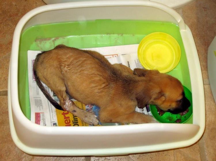 310091_10151282299403533_1510180390_n