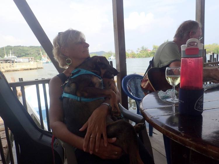 12080137_10153351238533533_6213044446311677487_o