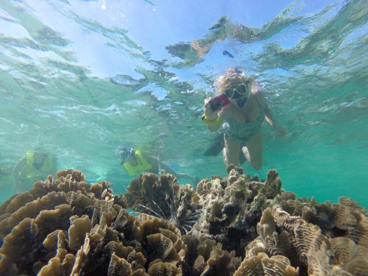 1913643_10201198008109277_298181372341786277_n