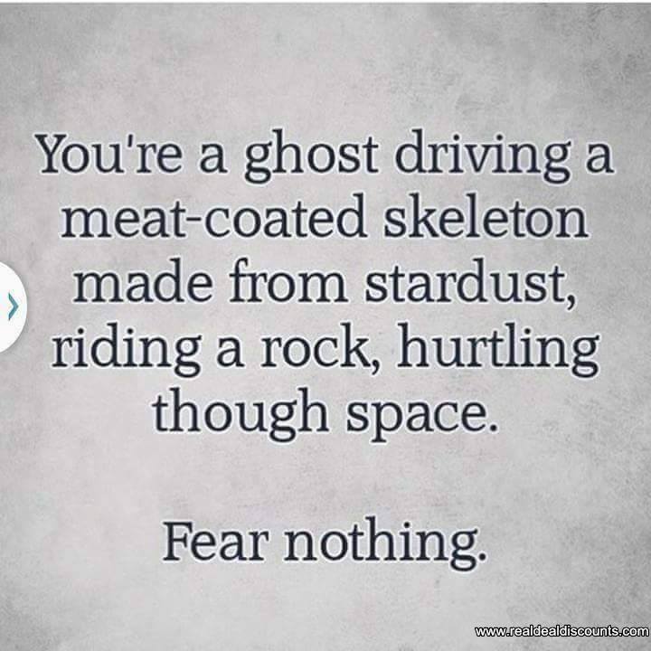 12541086_1194488783917654_3178869064842897998_n