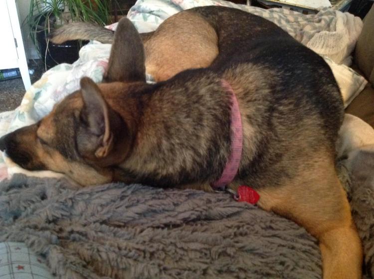 13305047_10209634300322845_4391581150356836277_o (1)