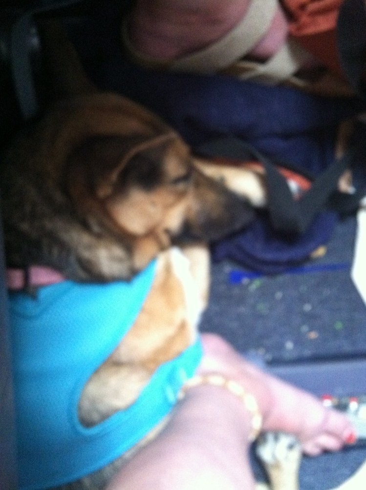 13391383_10209669342358874_4872185321040236497_o