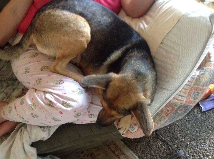 13391532_10209669056391725_7354226486845615109_o