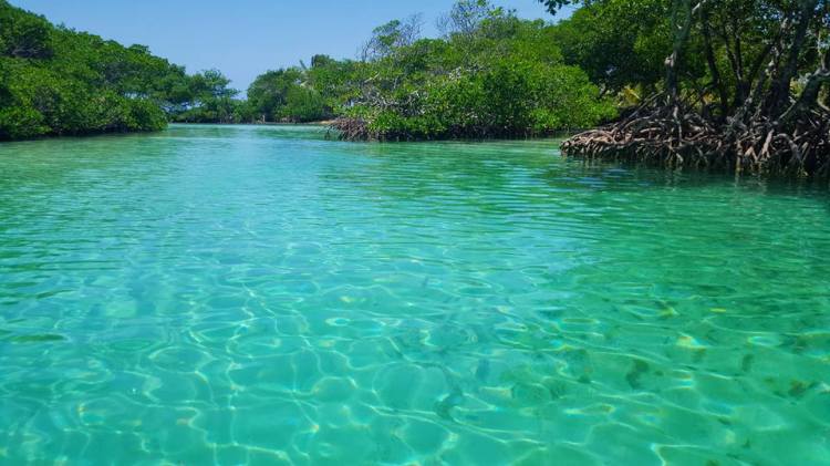 13510996_10208331533478186_8770793899883992247_n