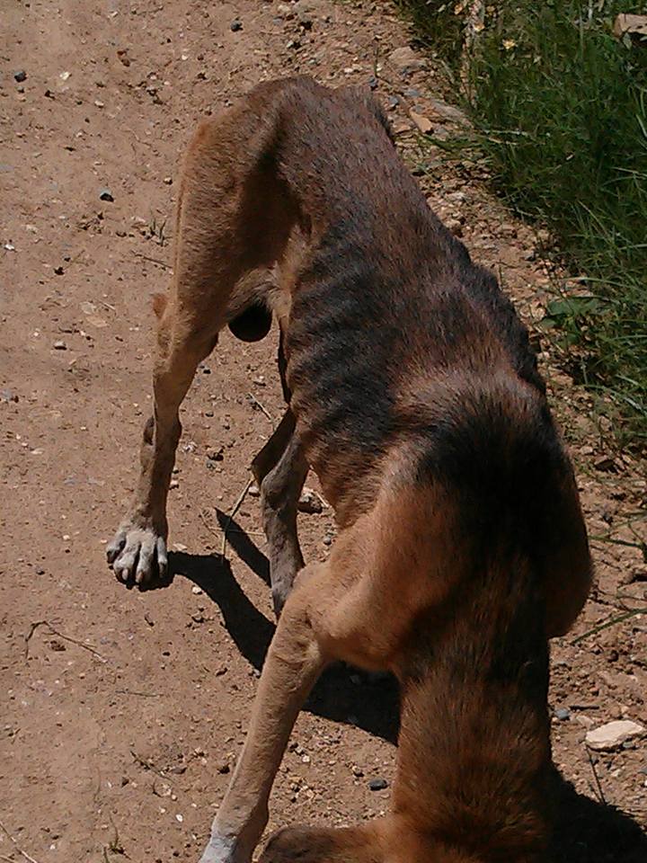 14333637_10154114163018533_1521094796430429317_n