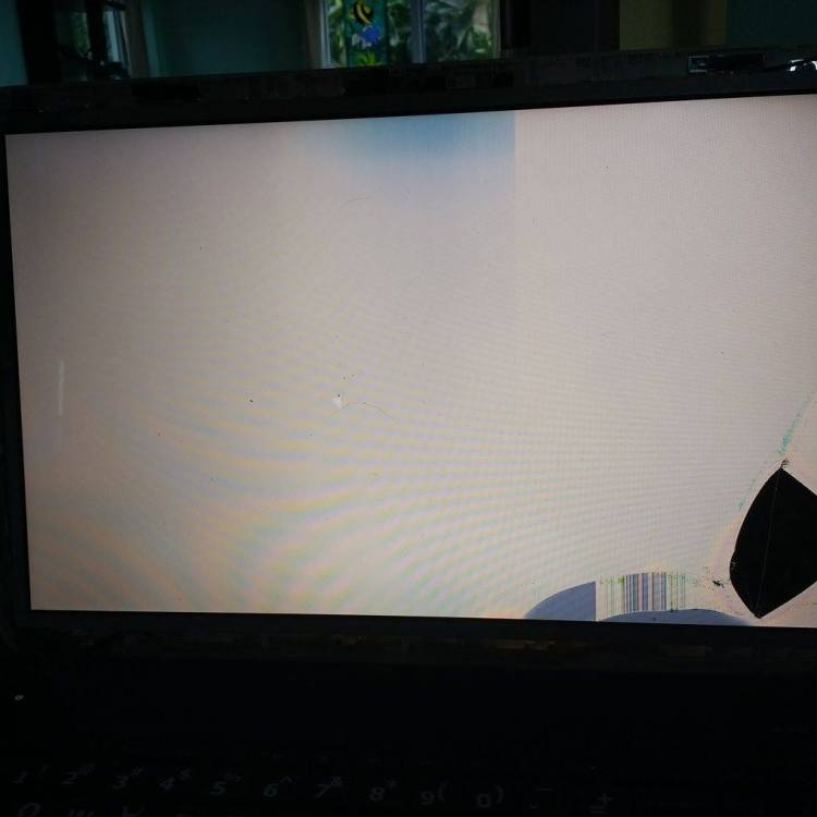 15966603_10154462227018533_596547243_o